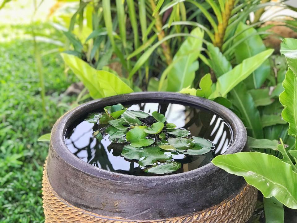 Verona Lanta Resort Ko Lanta Zewnętrze zdjęcie